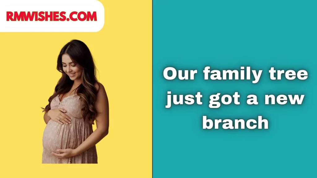 Creative Pregnancy Announcement Captions