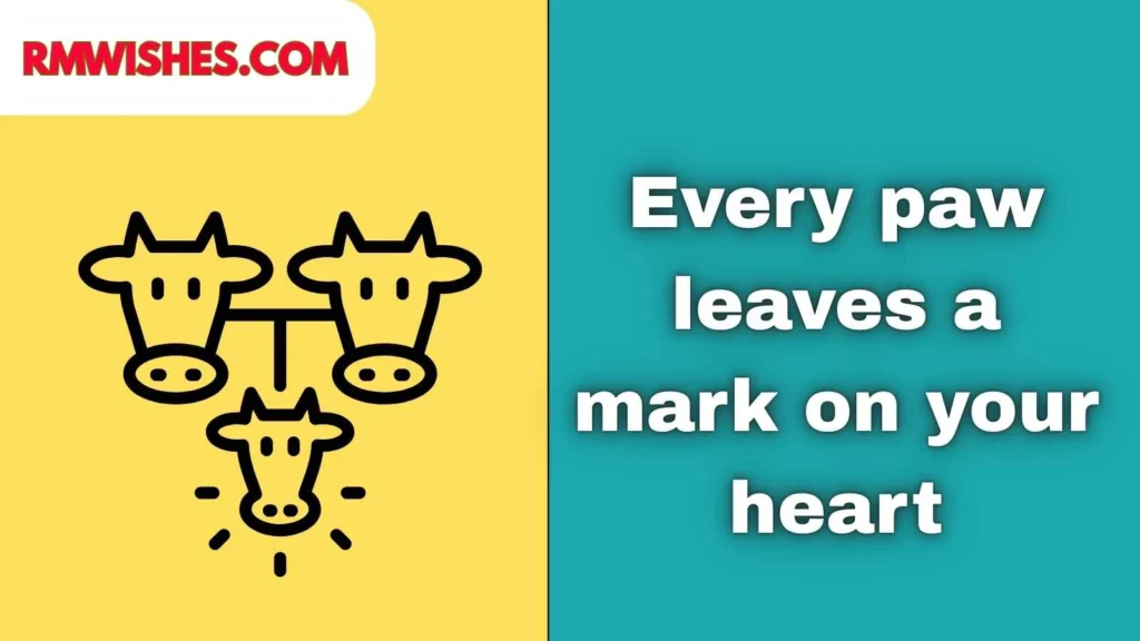 Inspirational Breeding Captions