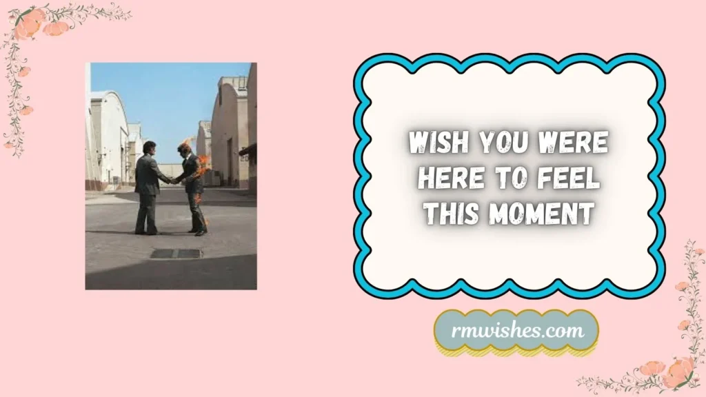 wish you were here album cover