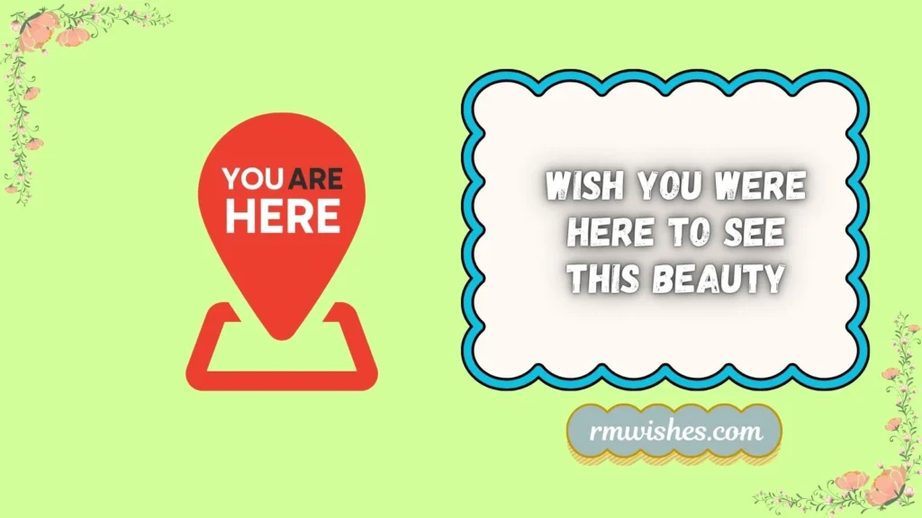 wish you were here meaning