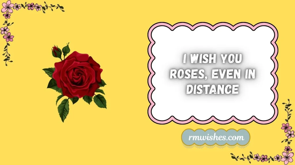 i wish you roses lyrics